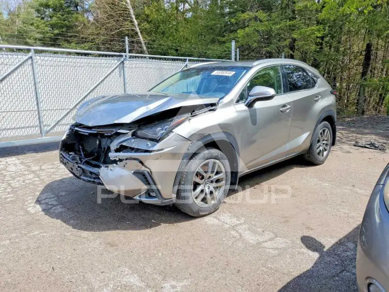 2018 Lexus NX фото