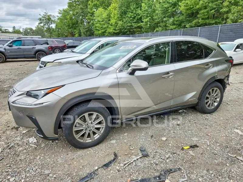 2018 Lexus NX фото