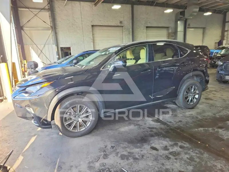 2018 Lexus NX фото