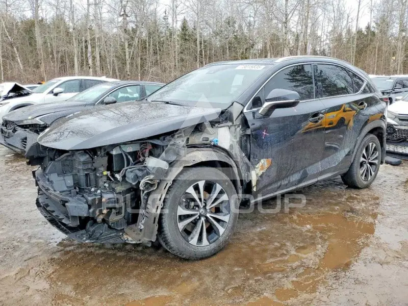 2018 Lexus NX фото