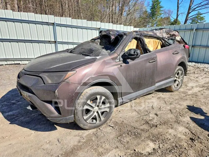2018 Toyota RAV4 фото