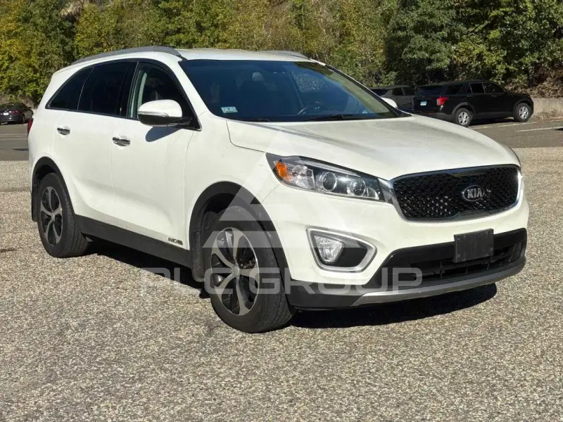 2018 KIA Sorento фото