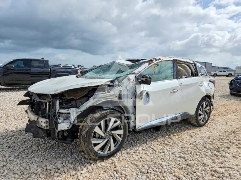 2019 Nissan MURANO photo