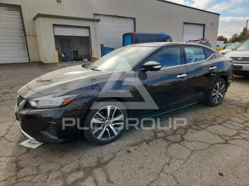 2019 Nissan MAXIMA photo