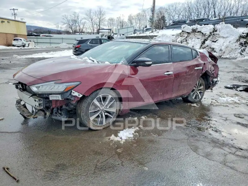 2019 Nissan MAXIMA photo