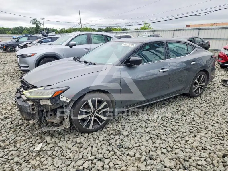 2019 Nissan MAXIMA photo