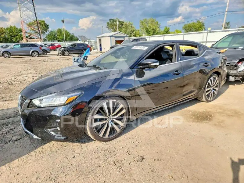 2019 Nissan MAXIMA photo