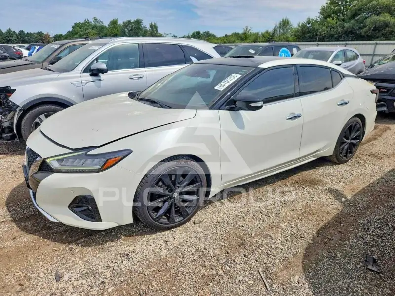 2019 Nissan MAXIMA photo