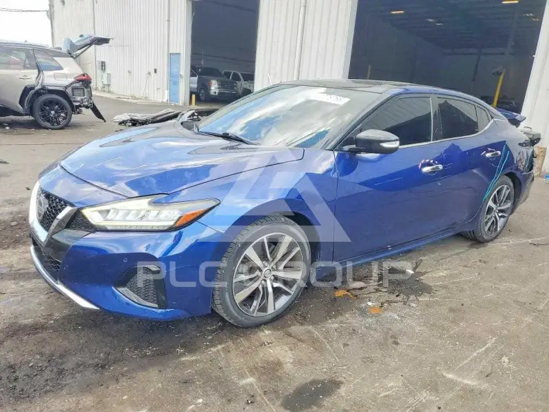 2019 Nissan MAXIMA photo