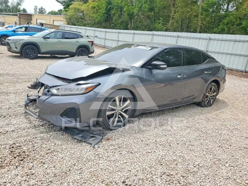 2019 Nissan MAXIMA photo