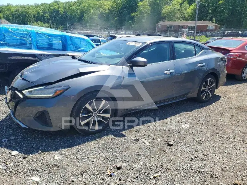2019 Nissan MAXIMA photo