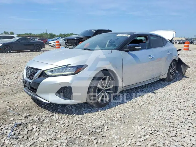 2019 Nissan MAXIMA photo
