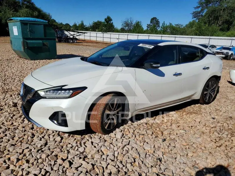 2019 Nissan MAXIMA photo