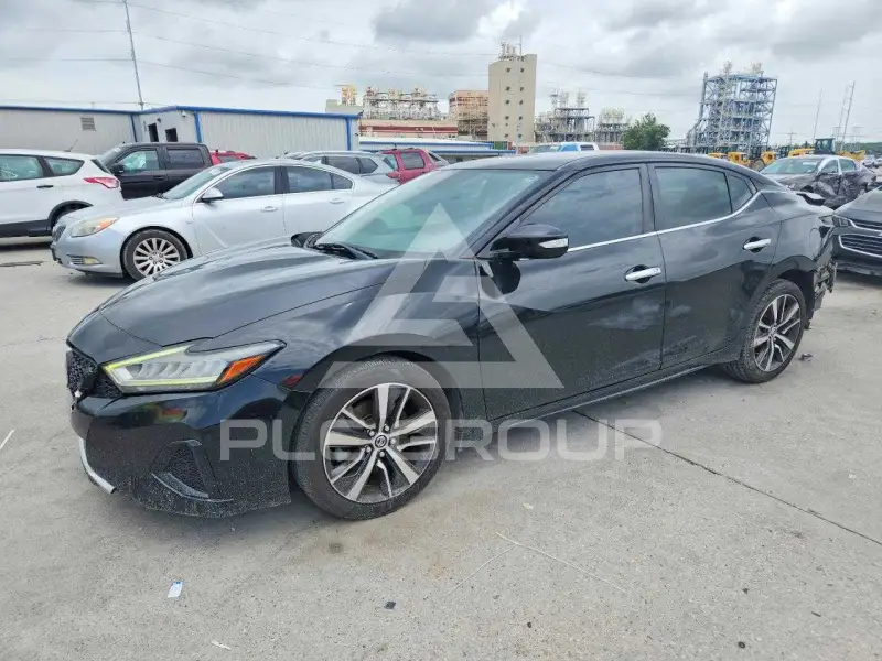 2019 Nissan MAXIMA photo