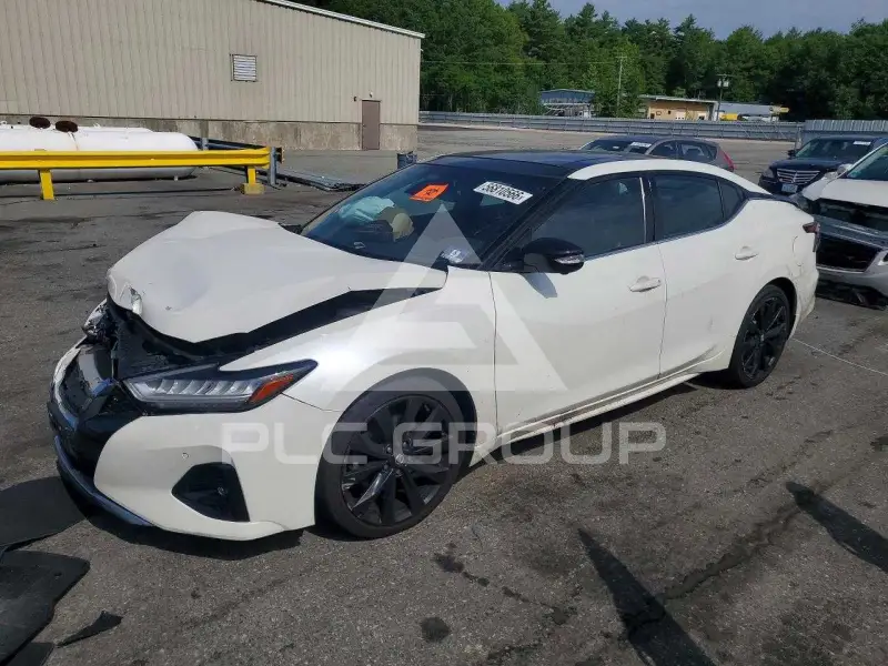 2019 Nissan MAXIMA photo