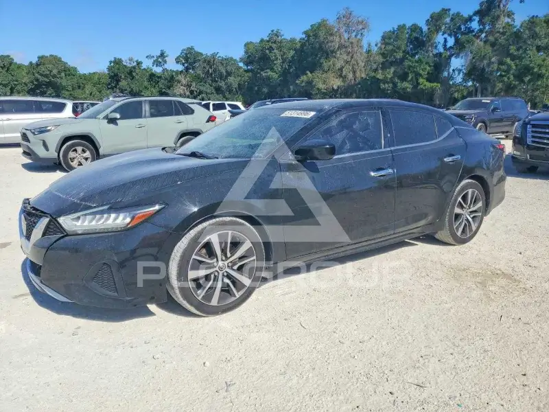 2019 Nissan MAXIMA photo