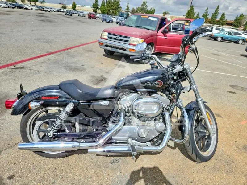 2019 Harley-Davidson XL883 фото