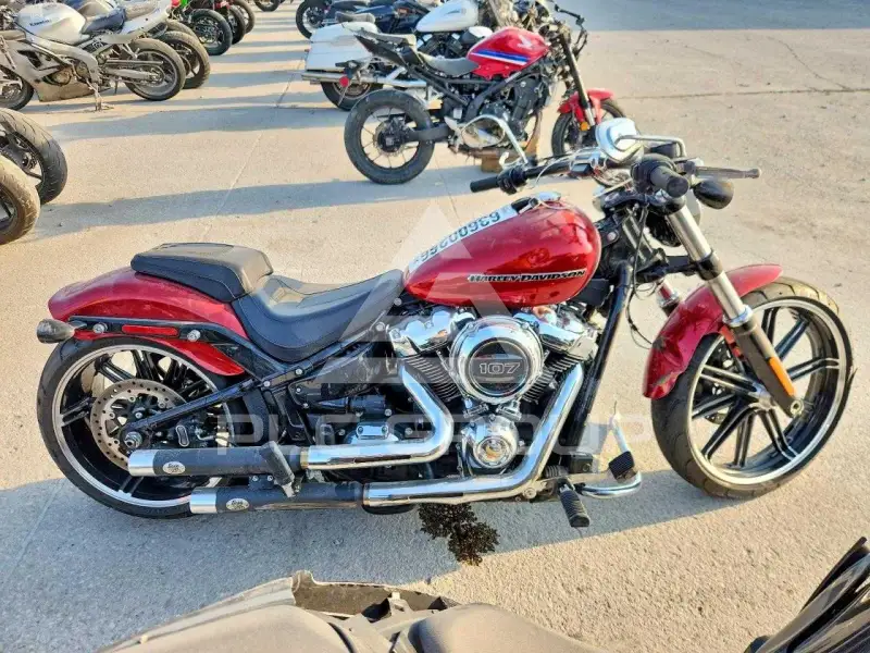 2019 Harley-Davidson  photo