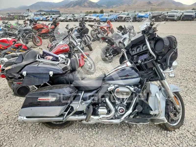 2019 Harley-Davidson FL фото