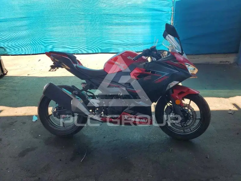 2019 Kawasaki  photo