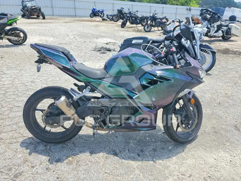 2019 Kawasaki  фото