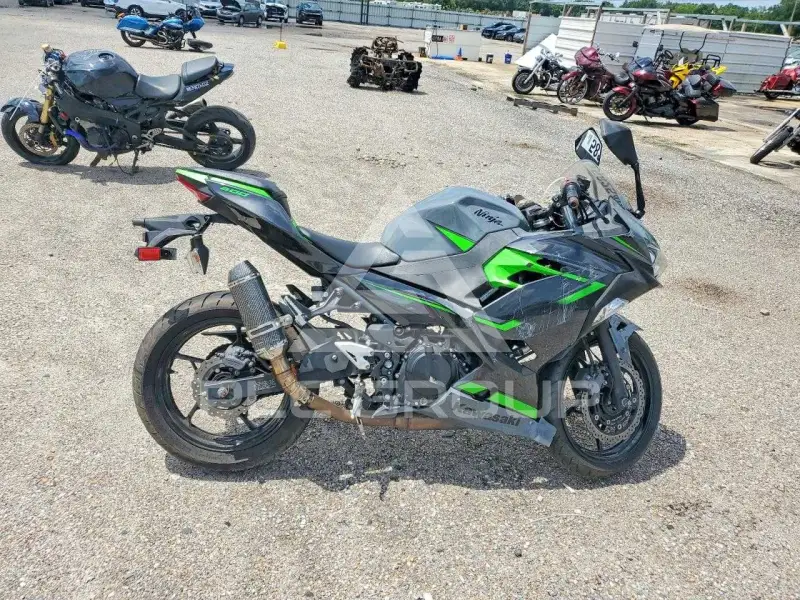 2019 Kawasaki  photo