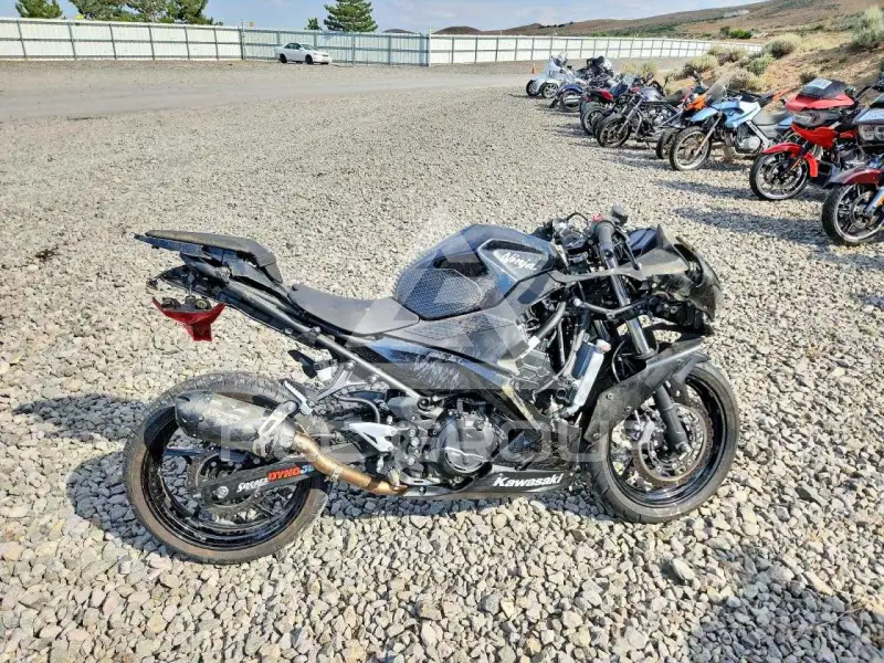 2019 Kawasaki  фото