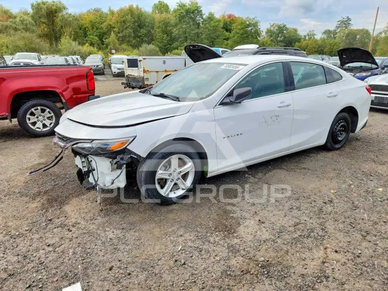 2019 Chevrolet Malibu photo