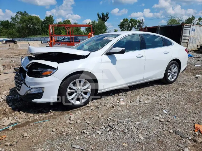 2019 Chevrolet Malibu photo