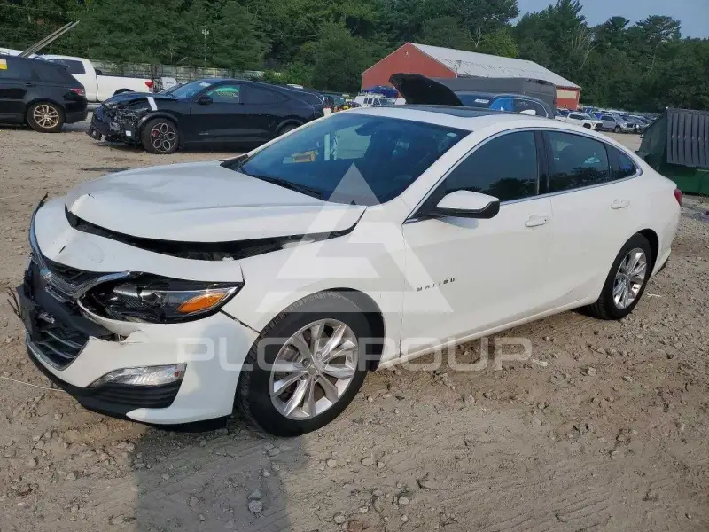 2019 Chevrolet Malibu photo