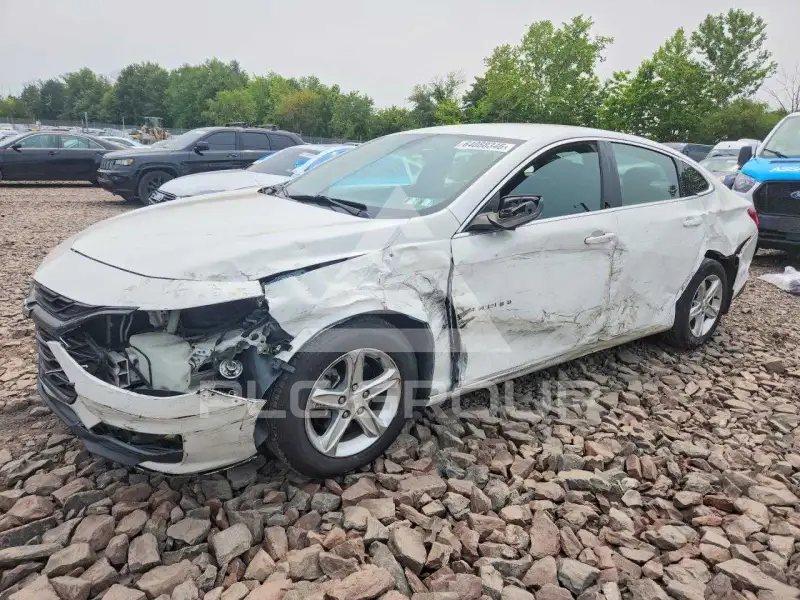 2019 Chevrolet Malibu photo