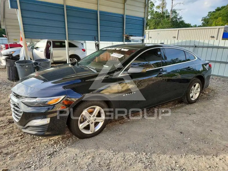 2019 Chevrolet Malibu photo