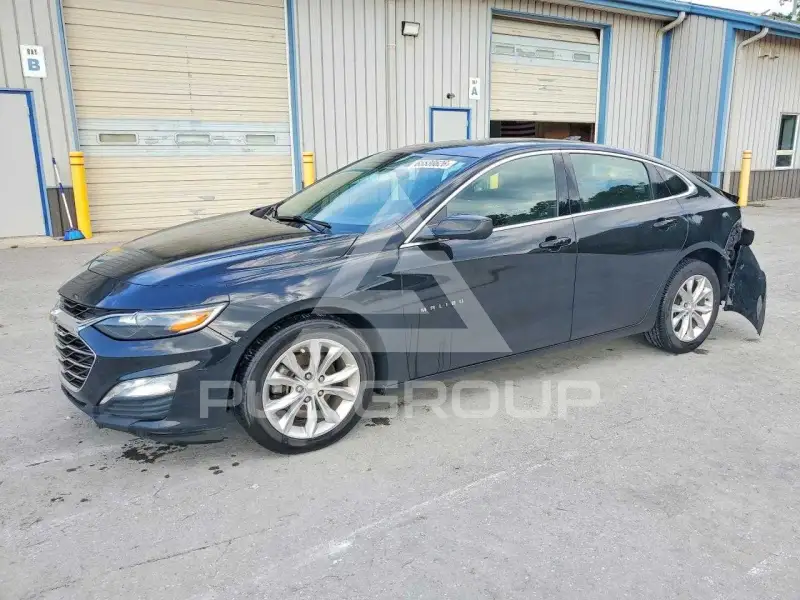 2019 Chevrolet Malibu photo
