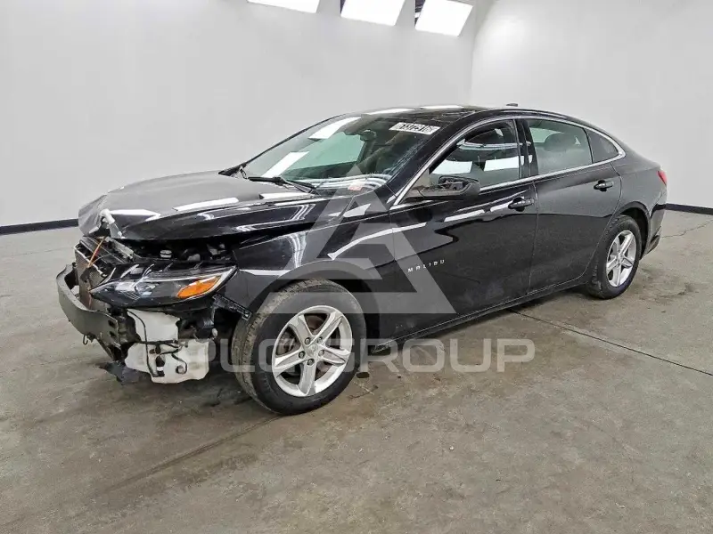 2019 Chevrolet Malibu фото