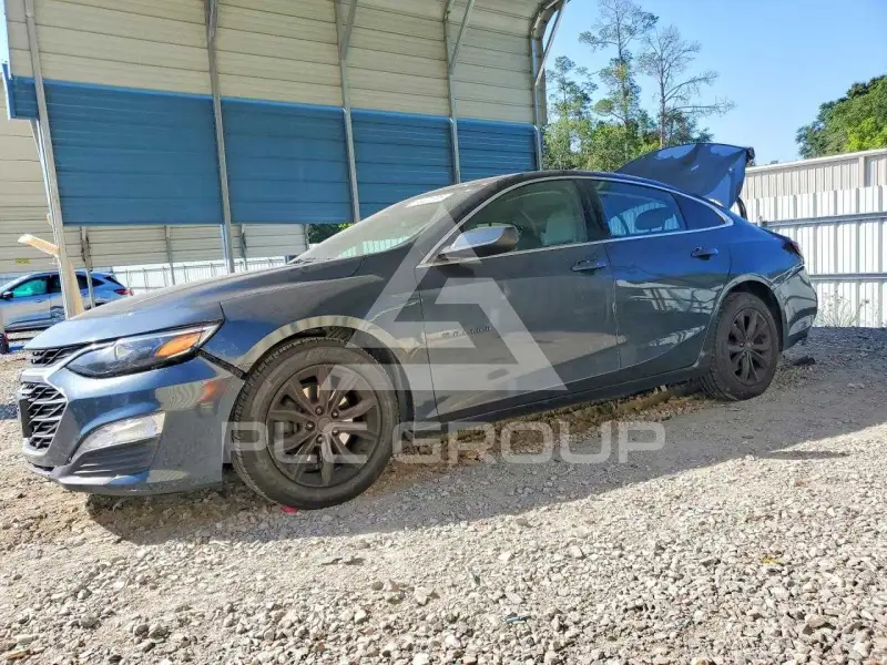 2019 Chevrolet Malibu photo