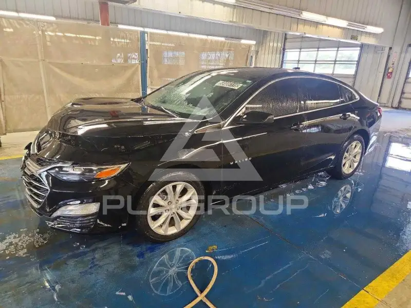 2019 Chevrolet Malibu photo