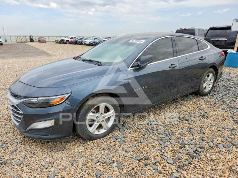 2019 Chevrolet Malibu фото