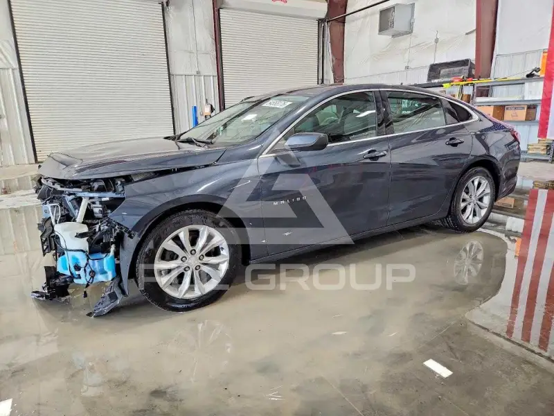 2019 Chevrolet Malibu photo