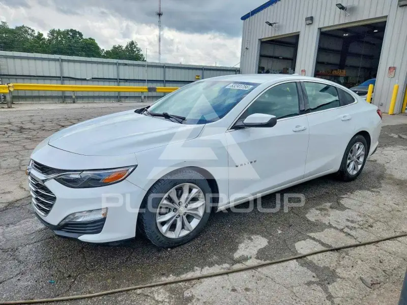 2019 Chevrolet Malibu фото