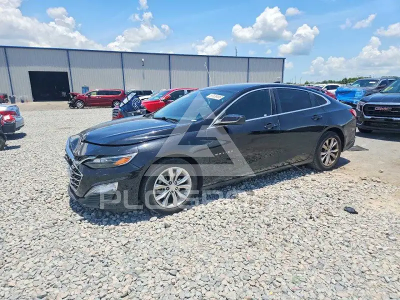 2019 Chevrolet Malibu фото