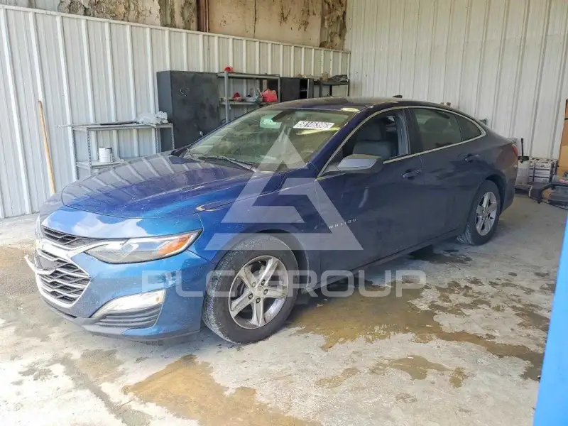 2019 Chevrolet Malibu photo