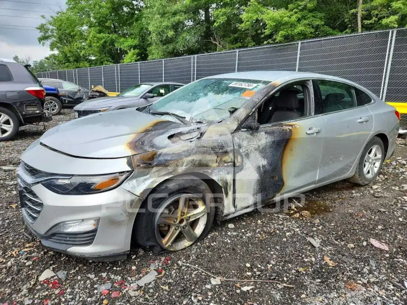 2019 Chevrolet Malibu photo