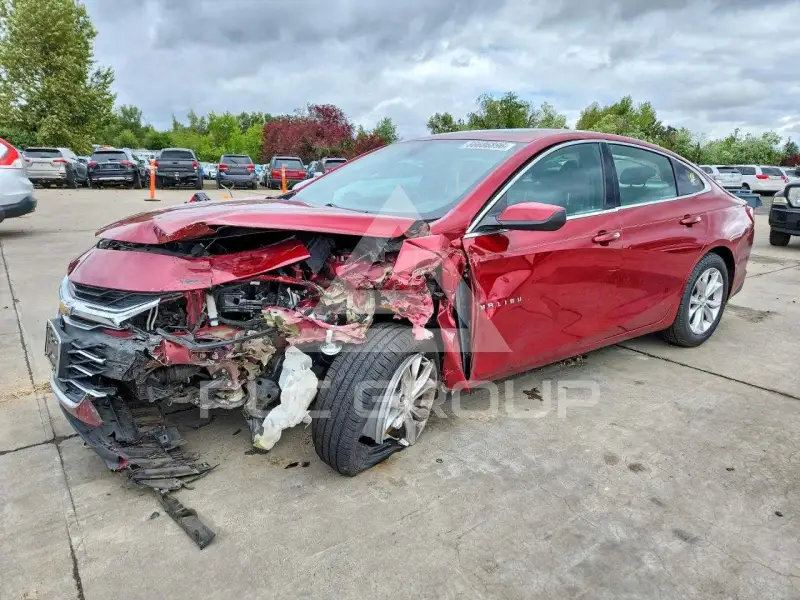 2019 Chevrolet Malibu фото