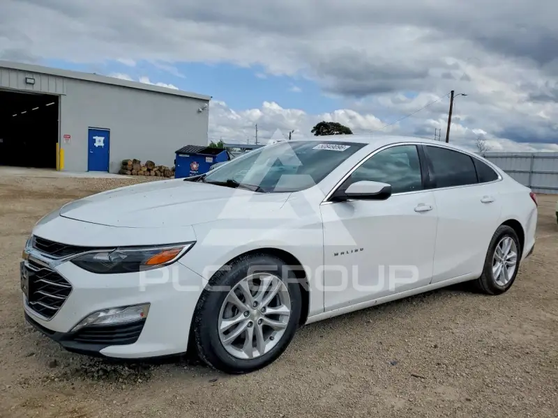 2019 Chevrolet Malibu фото