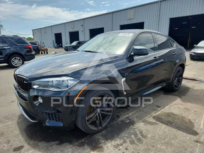 2019 BMW X6 photo