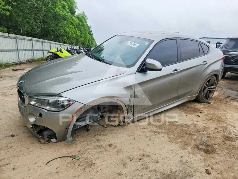 2019 BMW X6 photo