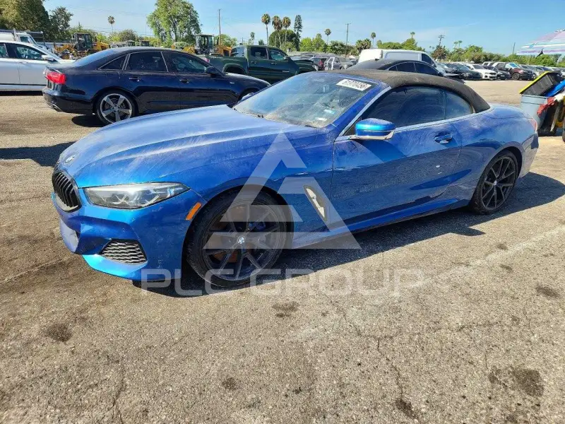 2019 BMW M8 фото