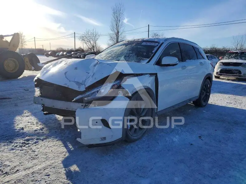 2019 Infinity QX50 photo