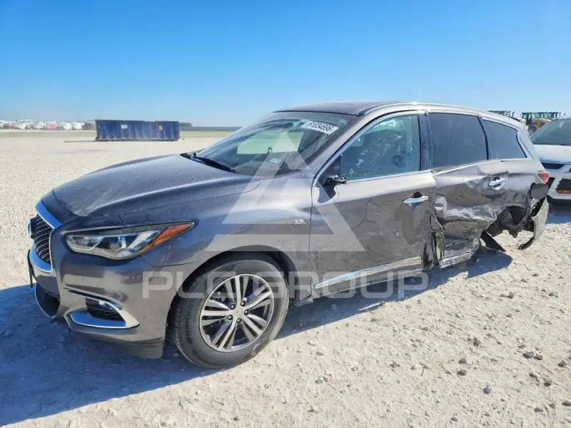 2019 Infinity QX60 photo