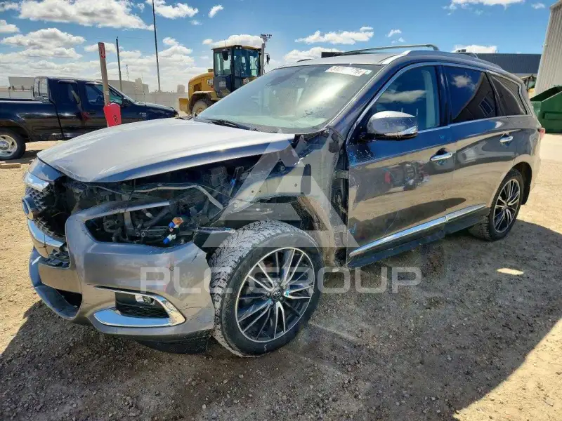 2019 Infinity QX60 photo